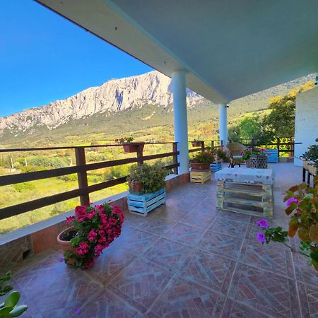 Vila Panoramic House Oliena Exteriér fotografie