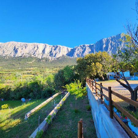 Vila Panoramic House Oliena Exteriér fotografie