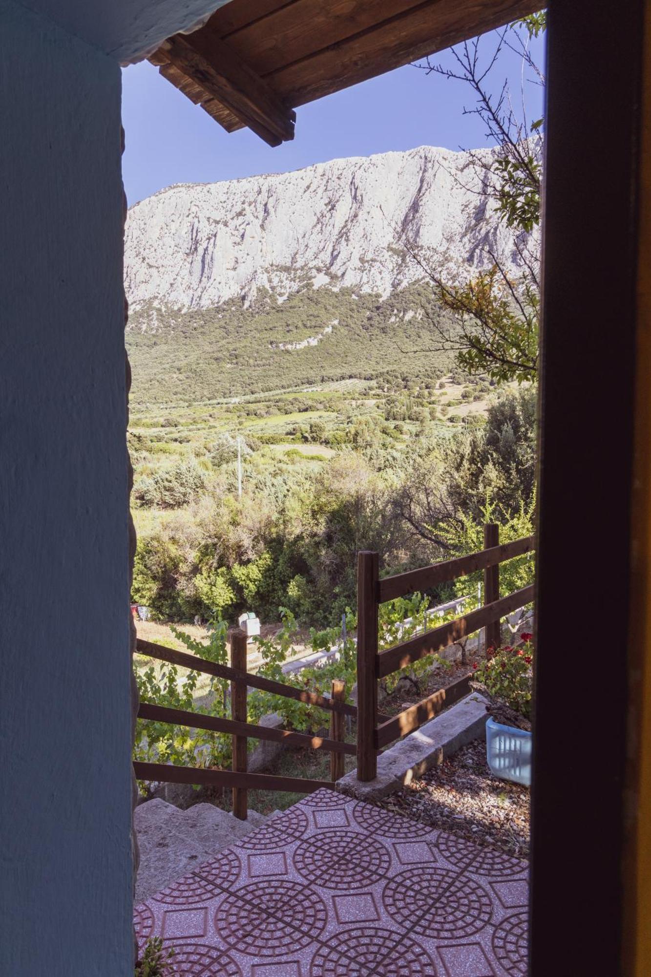 Vila Panoramic House Oliena Exteriér fotografie