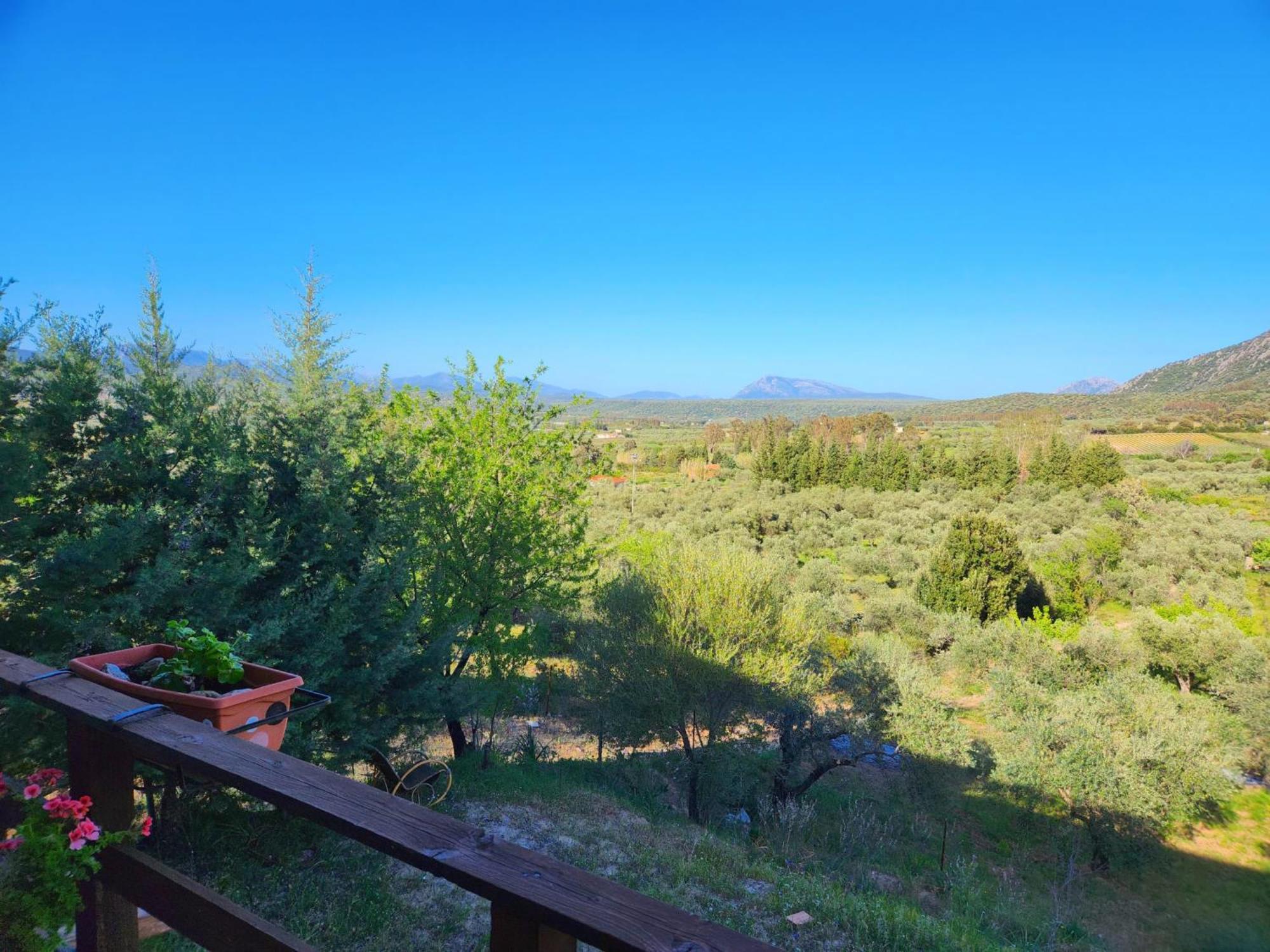 Vila Panoramic House Oliena Exteriér fotografie