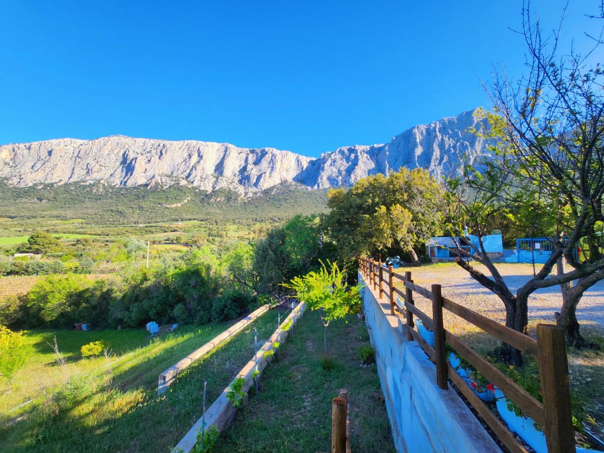 Vila Panoramic House Oliena Exteriér fotografie