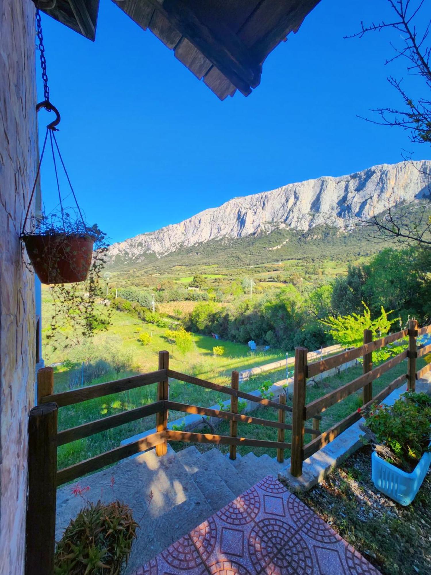 Vila Panoramic House Oliena Exteriér fotografie