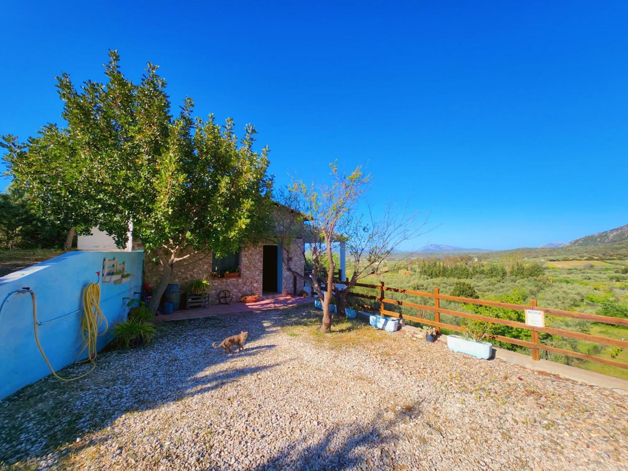 Vila Panoramic House Oliena Exteriér fotografie